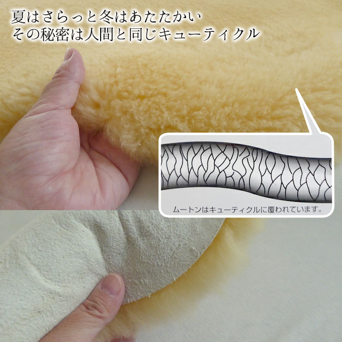 楽天市場】メディカルムートン 2匹物 フリース 医療・介護用
