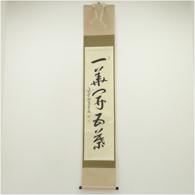 楽天市場】茶道具 掛軸 一華開五葉の通販