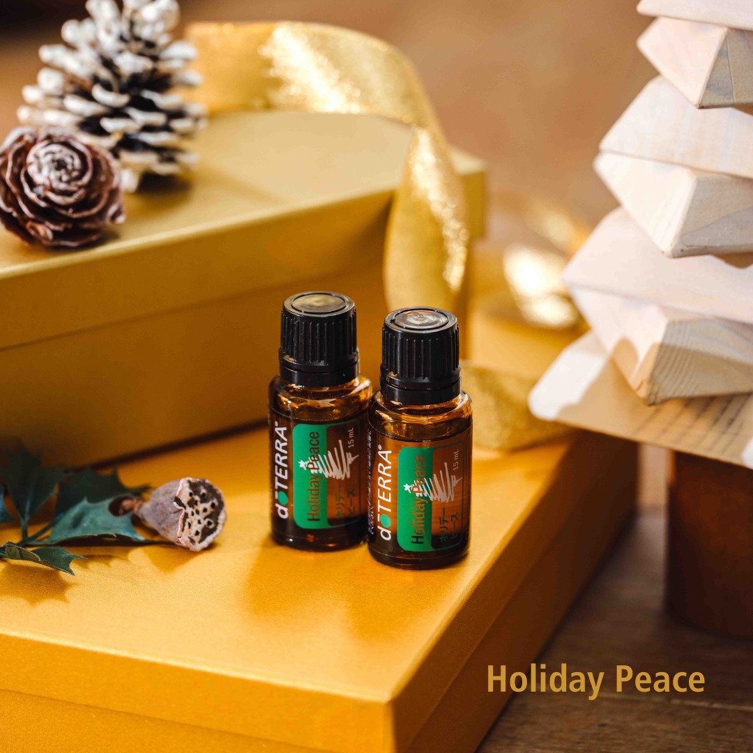 新品 限定 ドテラホリデー トレインディフューザー 新品未開封 ドテラ