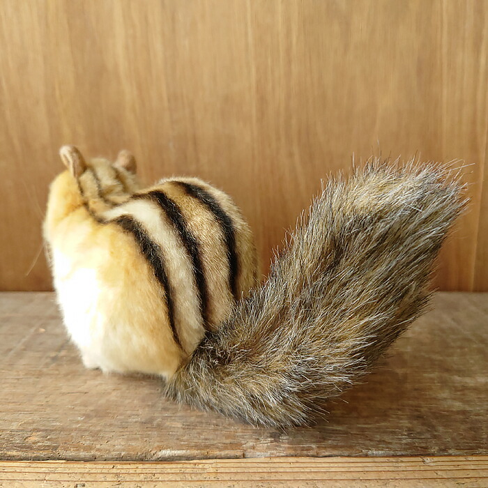 楽天市場】【HANSA シマリス25 ぬいぐるみ】栗鼠 りす リス ぬいぐるみ