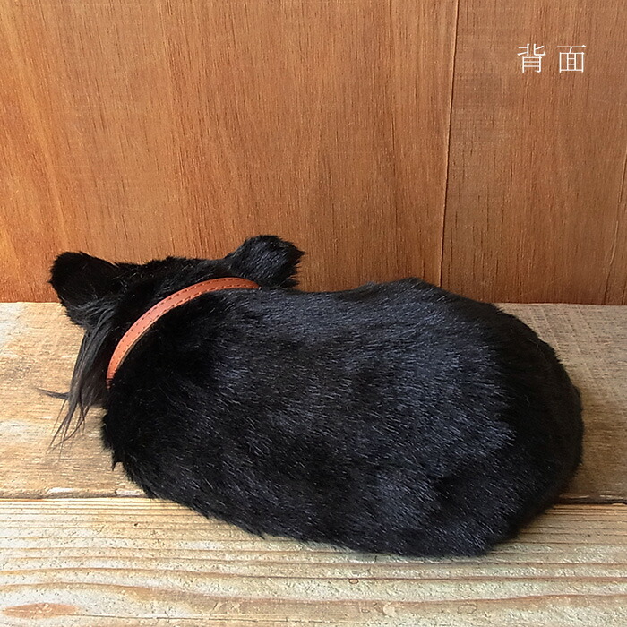 楽天市場】眠るように呼吸する パーフェクトペット (小サイズ) チワワ