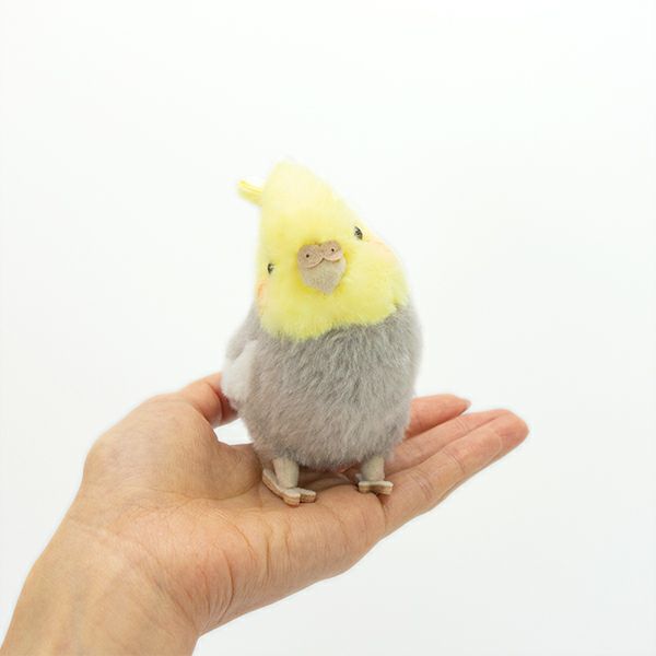 楽天市場】【ことりのね オカメインコ（グレー） ぬいぐるみ】鳥
