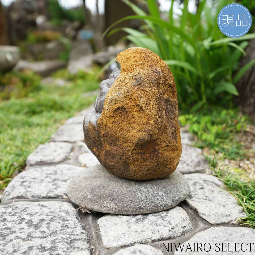 楽天市場】【国産 達磨】ダルマ 伊達冠石 両輝石玄武岩質安山岩 宮城県