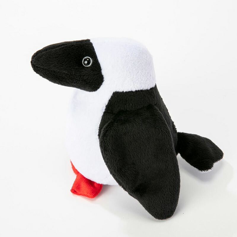 楽天市場】【土日祝配送可】 チャムス CHUMS ブービードール