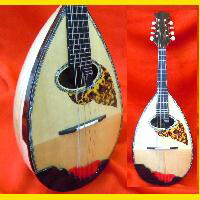 楽天市場】マンドリン IMPERIAL 3001 天然貝細工入り : おかげ様で創業