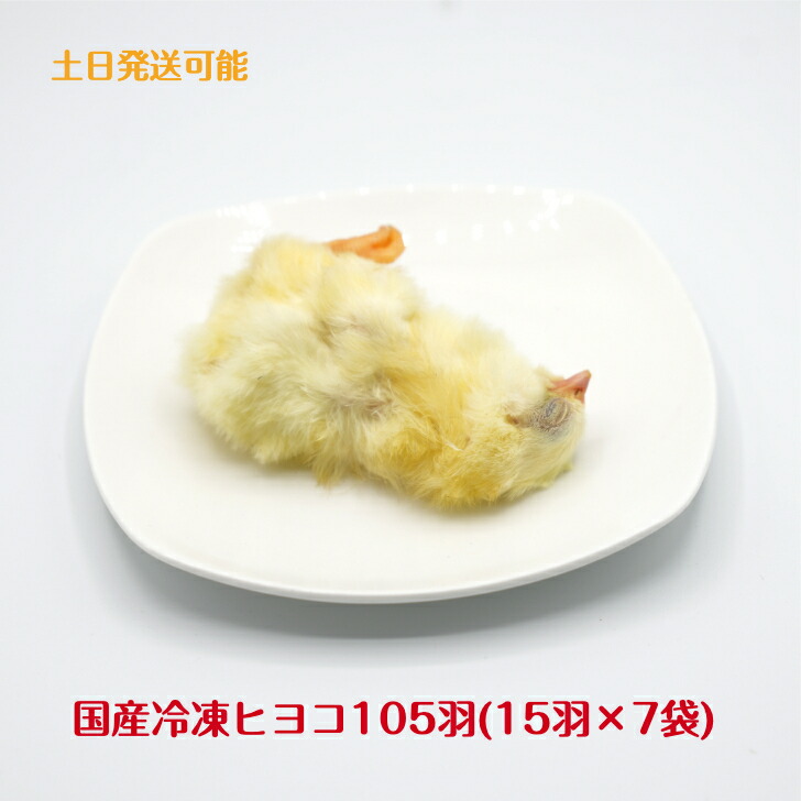 楽天市場】【未処理】国産冷凍ヒヨコ105羽 冷凍餌 エサ 猛禽類 爬虫類