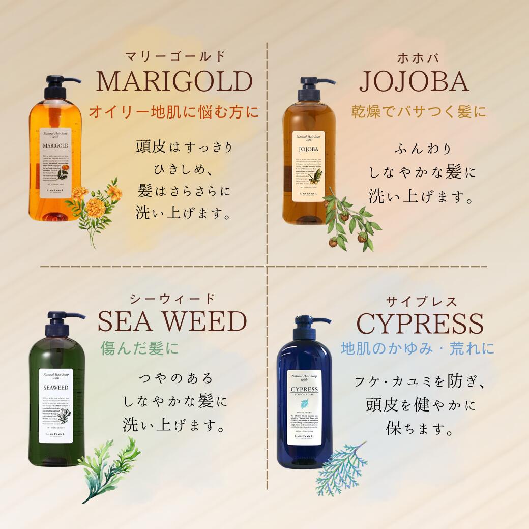 楽天市場】【挑戦価格】 新タイプ ルベル ナチュラルヘアソープウィズ