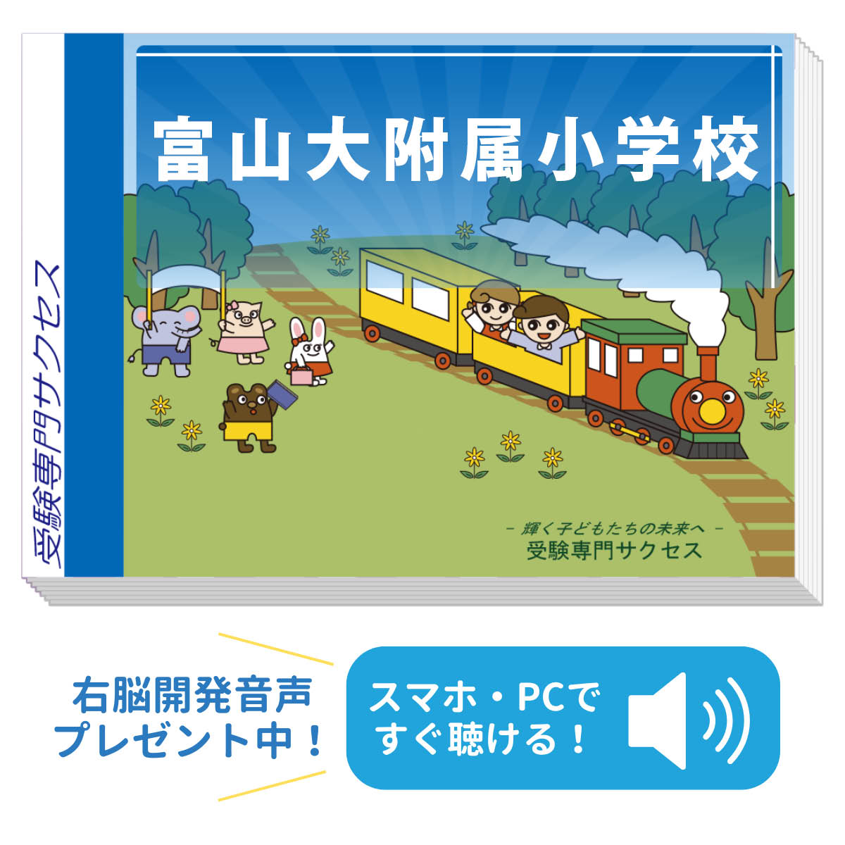 楽天市場】2026 富山大附属小学校・合格セット問題集 過去問の傾向と