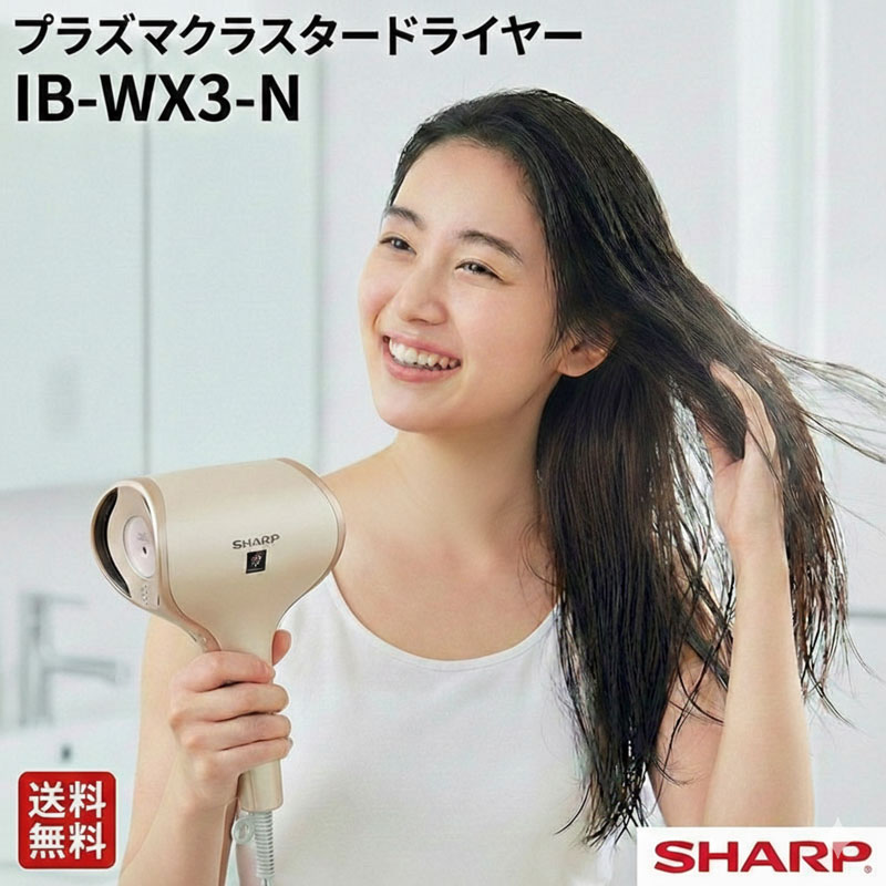 IB-WX3-N」の人気商品一覧 | 安い商品を通販サイトから探す - 価格.com