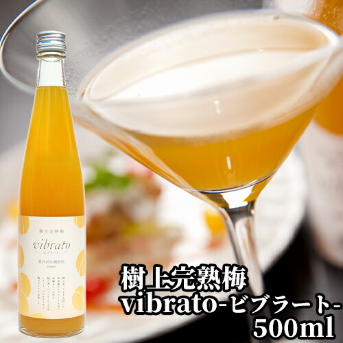 楽天市場】あらごし仕立てのネクタータイプの梅ドリンク 樹上完熟梅