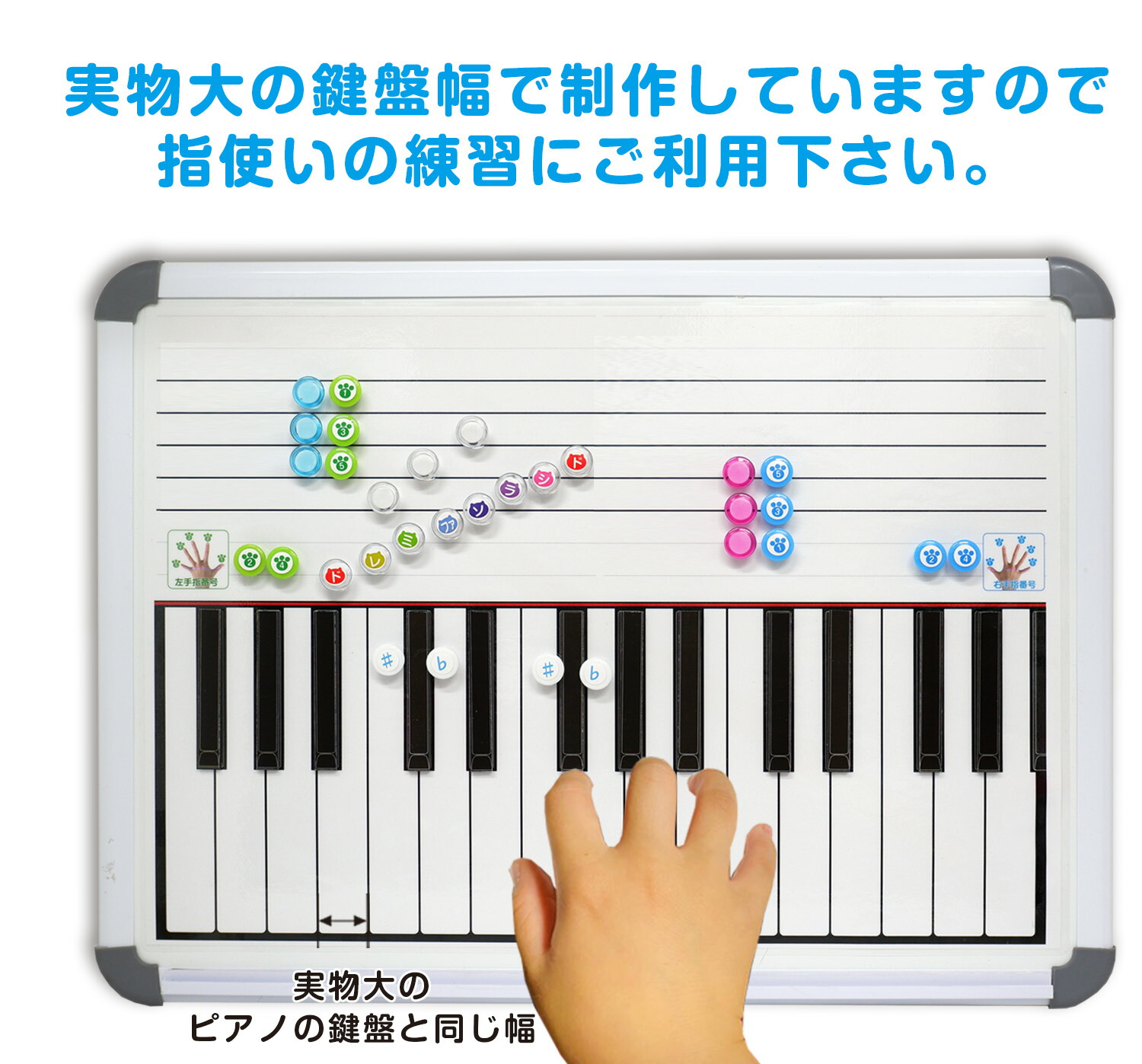 楽天市場】ドレミ階段スライドボードドレミ階段 和音ピアノ教材 黒鍵