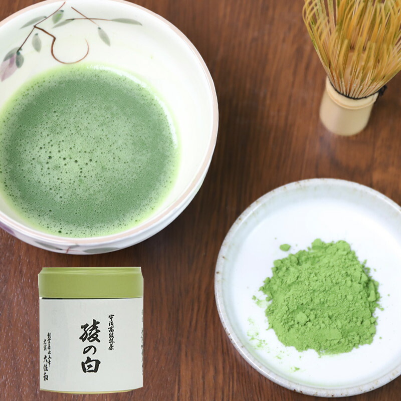 楽天市場】お茶 抹茶 綾の白 40g缶 : お茶と海苔の専門店 老舗大佐和