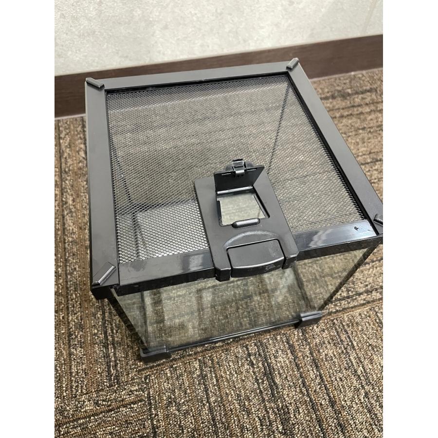 楽天市場】爬虫類 飼育ケース 30×30×30 ガラス 昆虫飼育ケース クモ