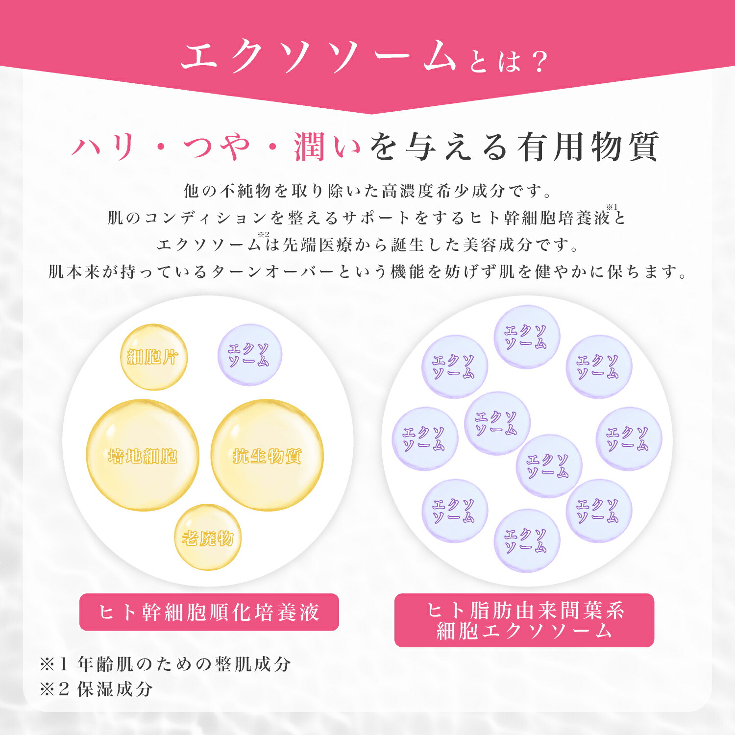 楽天市場】新高濃度 ヒト幹細胞培養液 60% MIRAINAL ミライナル