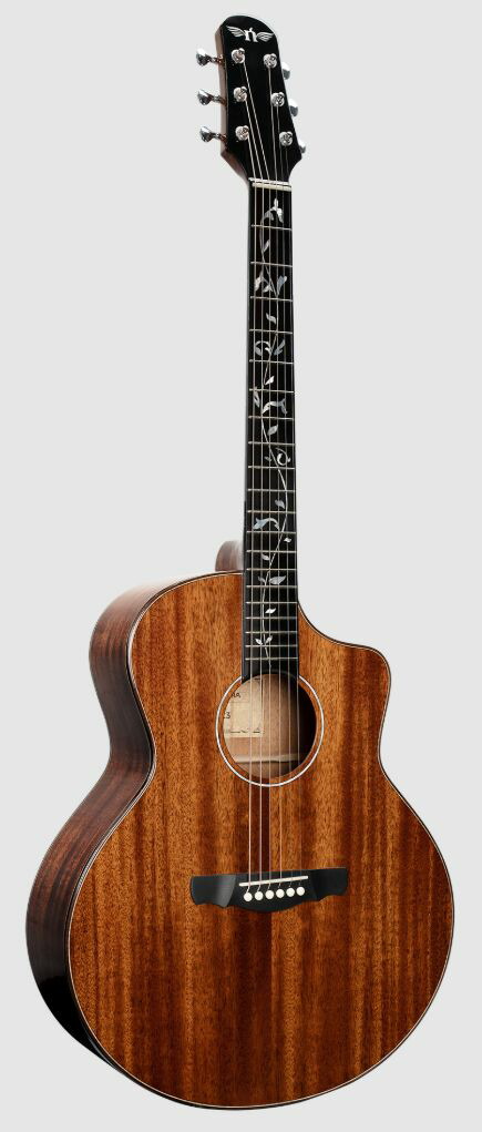 アコースティックギター 6弦 カッタウェイ アコースティック ギター