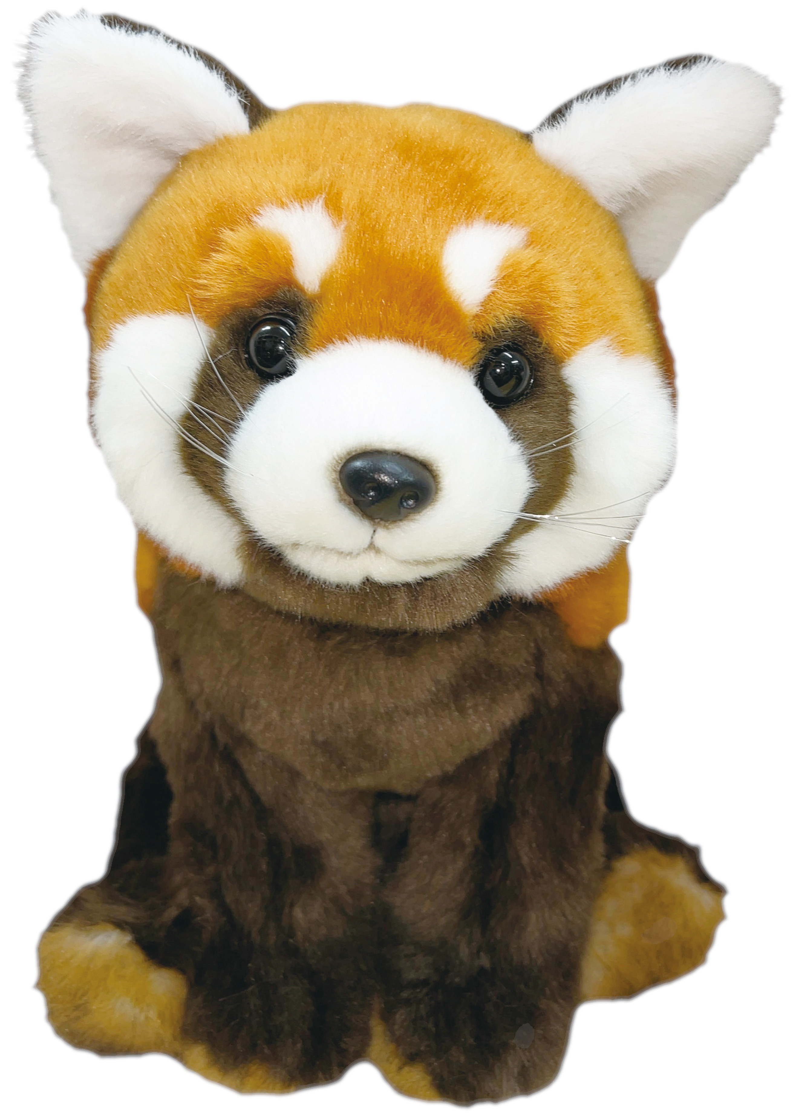 楽天市場】【可動式ぬいぐるみ】レッサーパンダ リアル 動く 可愛い