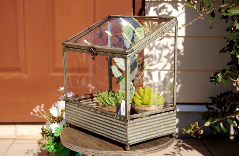 楽天市場】ガーデニング雑貨 テラリュウム コレットショーケース 観葉