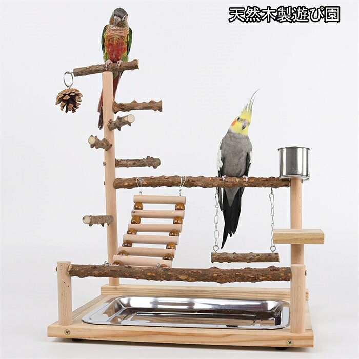 楽天市場】【高さ約45cm】インコ 遊び場 三層 バード アスレチック