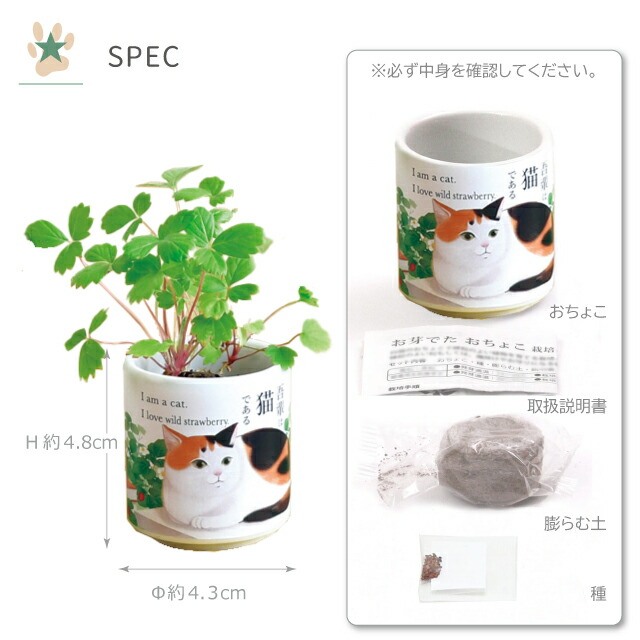 楽天市場】栽培セット 栽培キット 聖新陶芸 お芽でたおちょこ吾輩猫