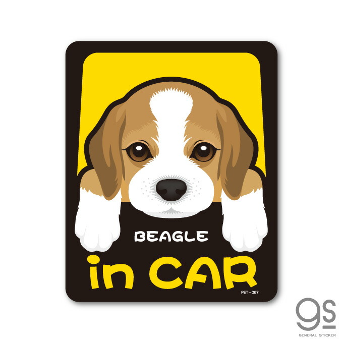 楽天市場】ペットステッカー BEAGLE in CAR ビーグル ドッグインカー