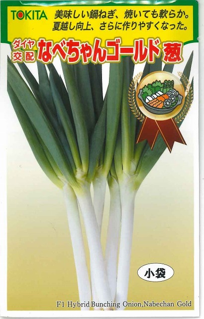 楽天市場】ねぎ なべちゃんゴールド葱 5ml トキタ種苗(株) [種子/野菜