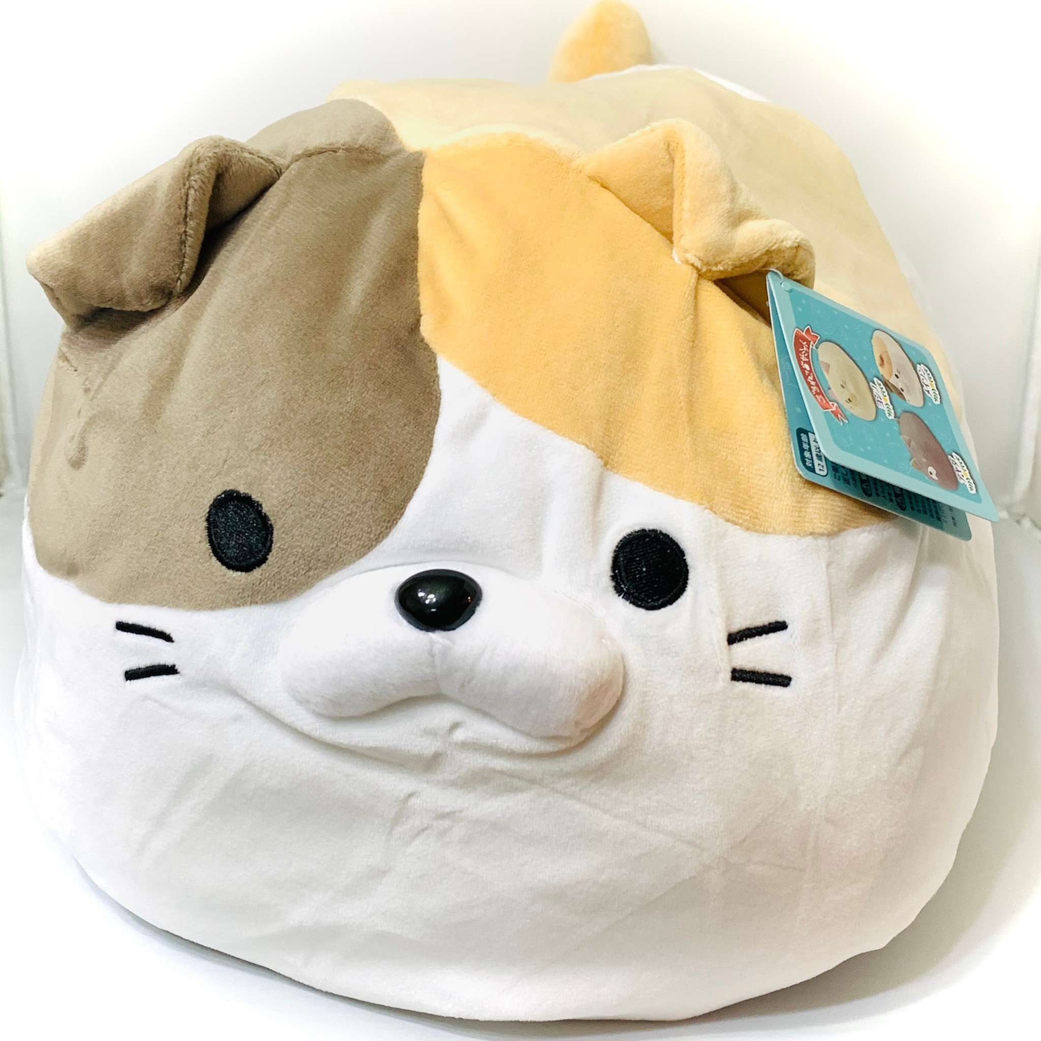 楽天市場】ごろねこサミット 第17回 おうち代表ねこ会議 [メイソン