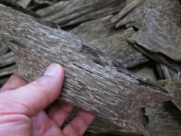 楽天市場】ベトナム産高級栽培沈香 100g量り売り【中高ランク】沈水