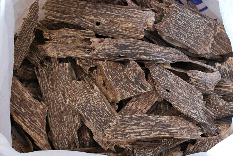 楽天市場】楽天スーパーSALE 沈香 ベトナム産高級栽培沈香【訳あり中高