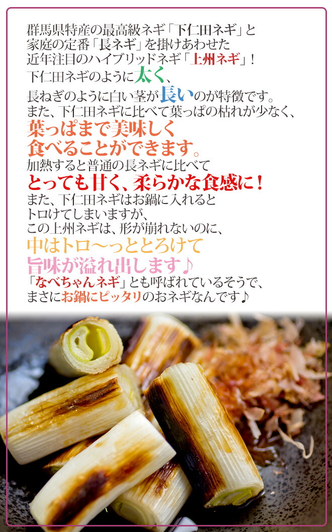 楽天市場】群馬県 ”上州ねぎ” 12束前後 約5kg【予約 11月末以降