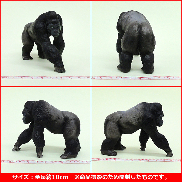 楽天市場】ミニチュアプラネット 動物インフィニティよりニシ