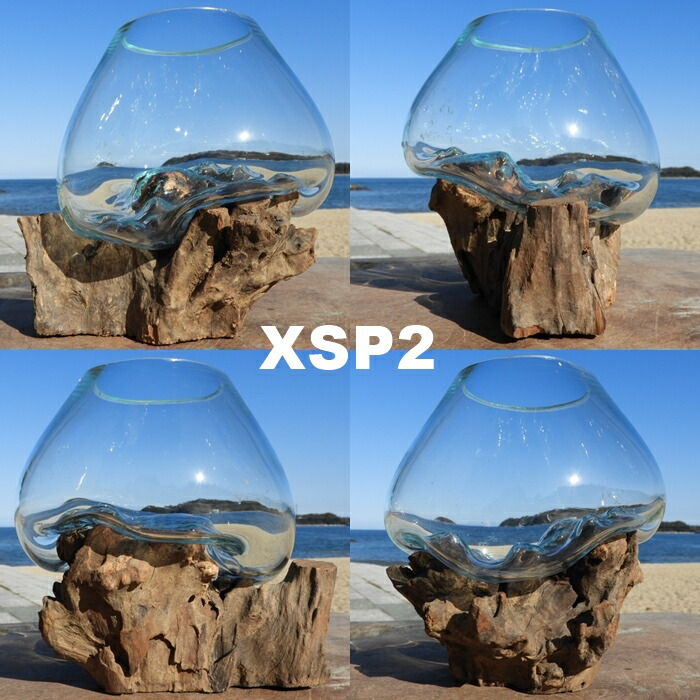 楽天市場】選べる 流木ガラスオブジェ XSP 花瓶 アクアリウム