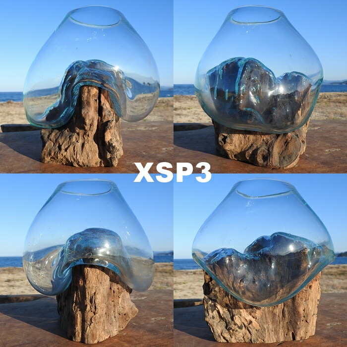 楽天市場】選べる 流木ガラスオブジェ XSP 花瓶 アクアリウム
