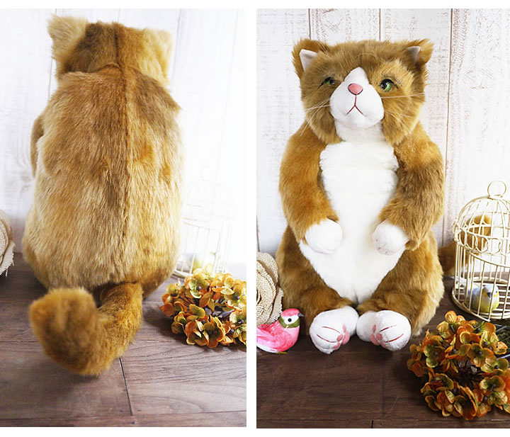 楽天市場】猫 ねこ ぬいぐるみ わさ美 カドリー Cuddly 癒し 猫の