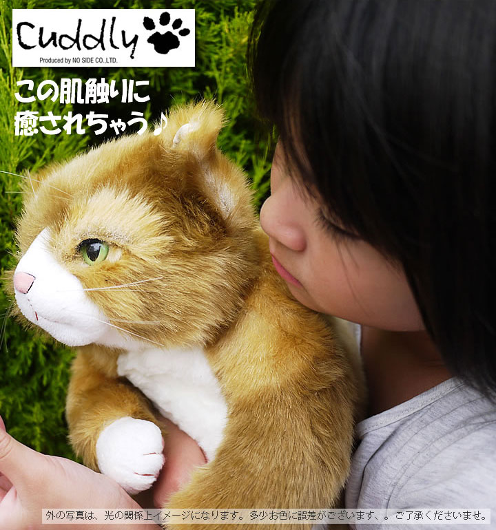 楽天市場】猫 ねこ ぬいぐるみ わさ美 カドリー Cuddly 癒し 猫の