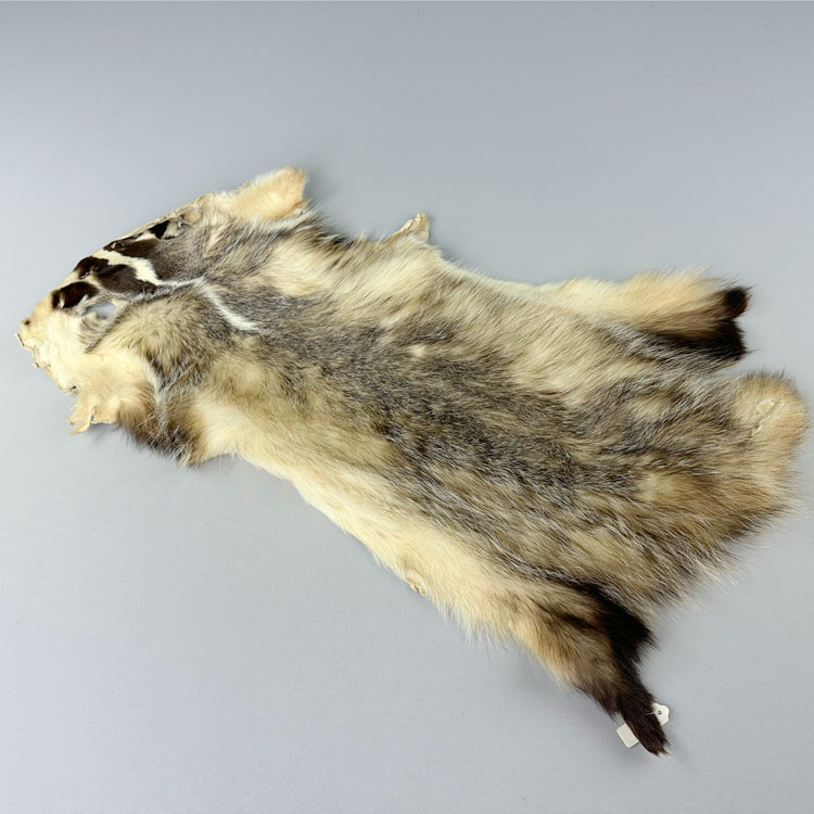 楽天市場】バジャー（アナグマ） 穴あき/アイデアでいろいろな用途に