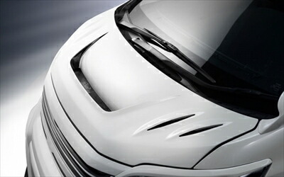 車用エアロパーツ ヴェルファイア 20 ボンネット」の人気商品一覧