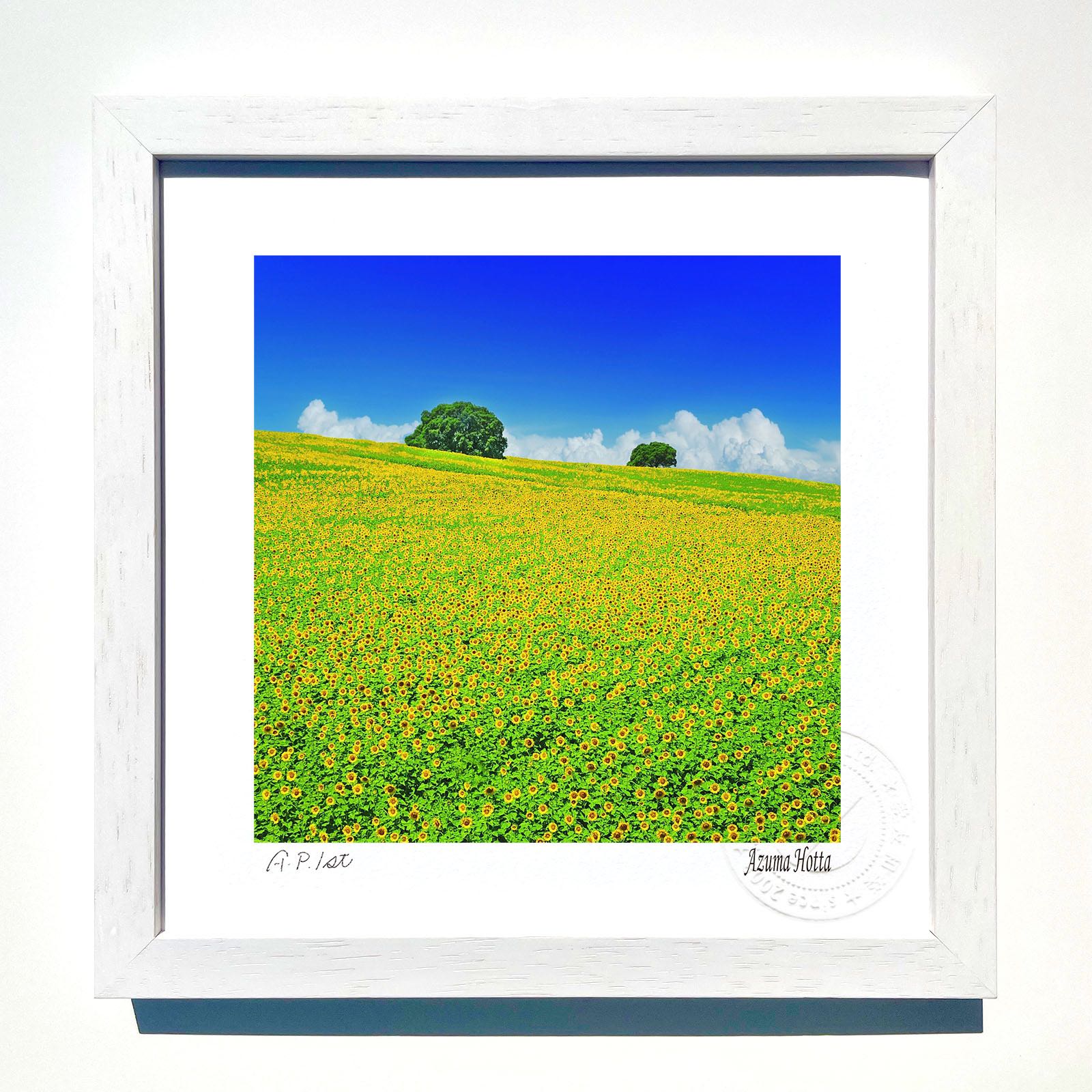 楽天市場】版画 絵画斜面のひまわり畑/インテリア 額入り 額装込 風景