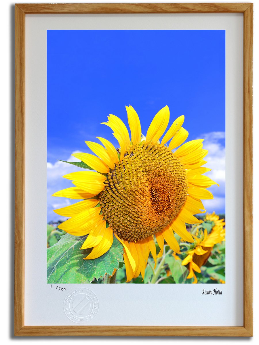 楽天市場】版画 絵画 ひまわりのある風景001 山梨・北杜市/インテリア