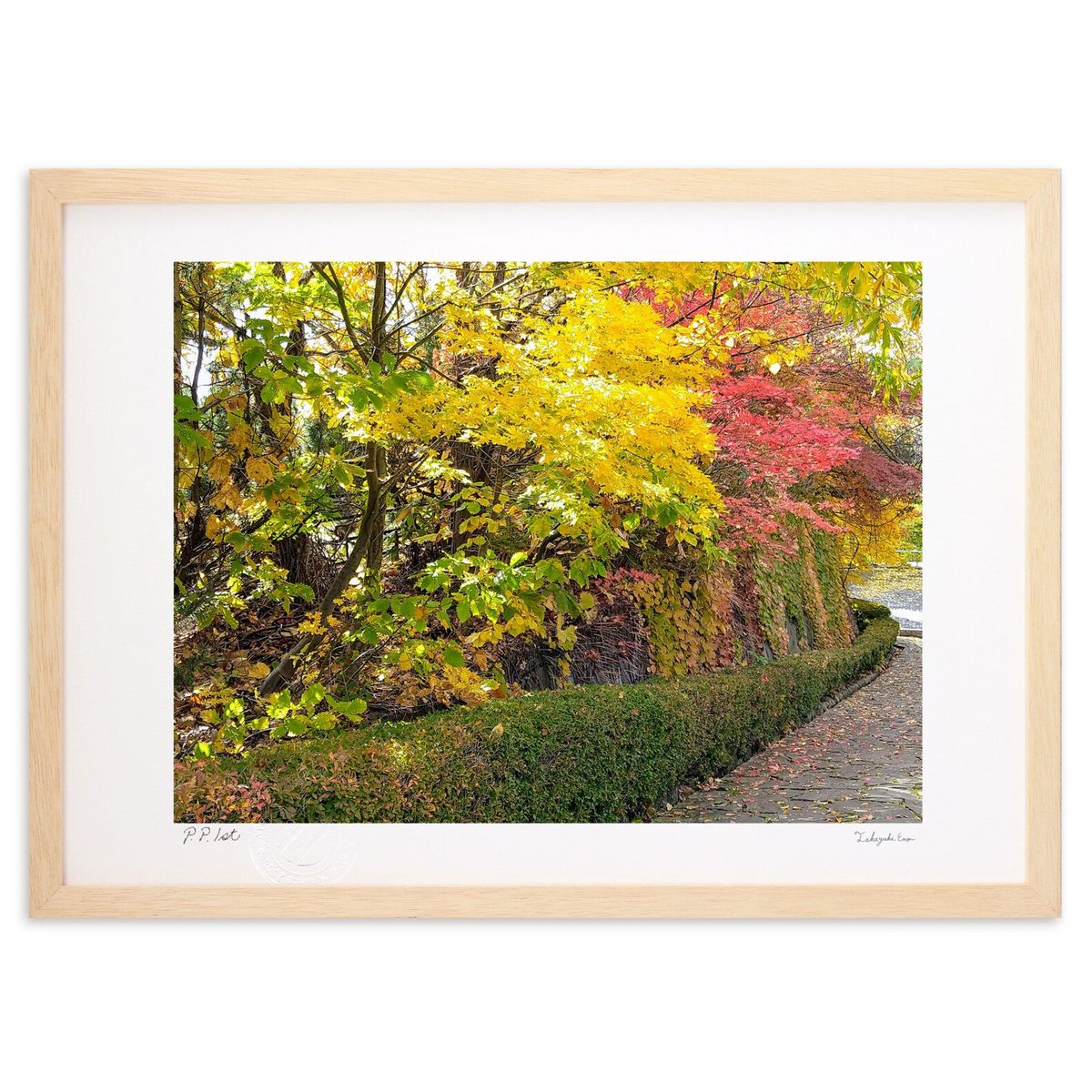 紅葉 絵画 風景」の人気商品一覧 | 安い商品を通販サイトから探す