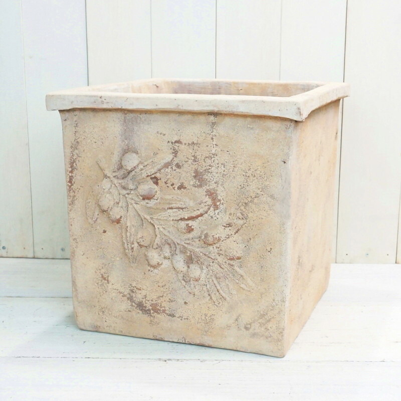 楽天市場】植木鉢 おしゃれ テラコッタ オリーブ スクエアアンティコ(3