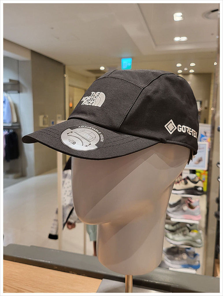 楽天市場】☆配送無料☆ [THE NORTH FACE] GTX CAMP CAP NE3CN52