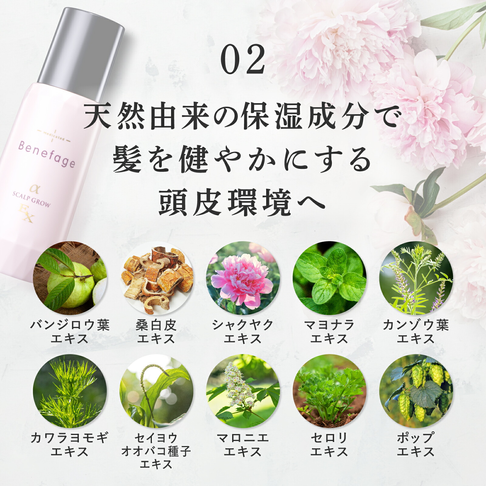 楽天市場】【アデランス 公式】薬用スカルプグロウ ベネファージュEX α