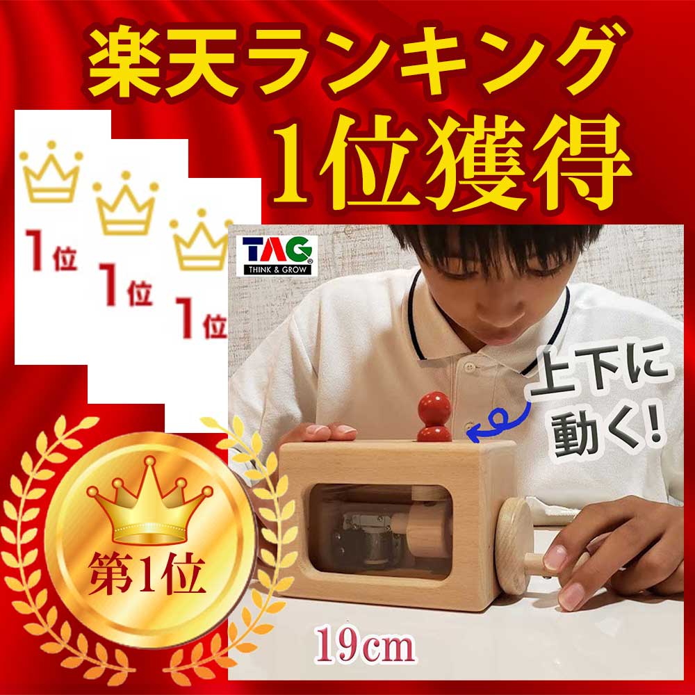 楽天市場】動きが見えるミュージックボックス TAG TOYSタグトイ 知育