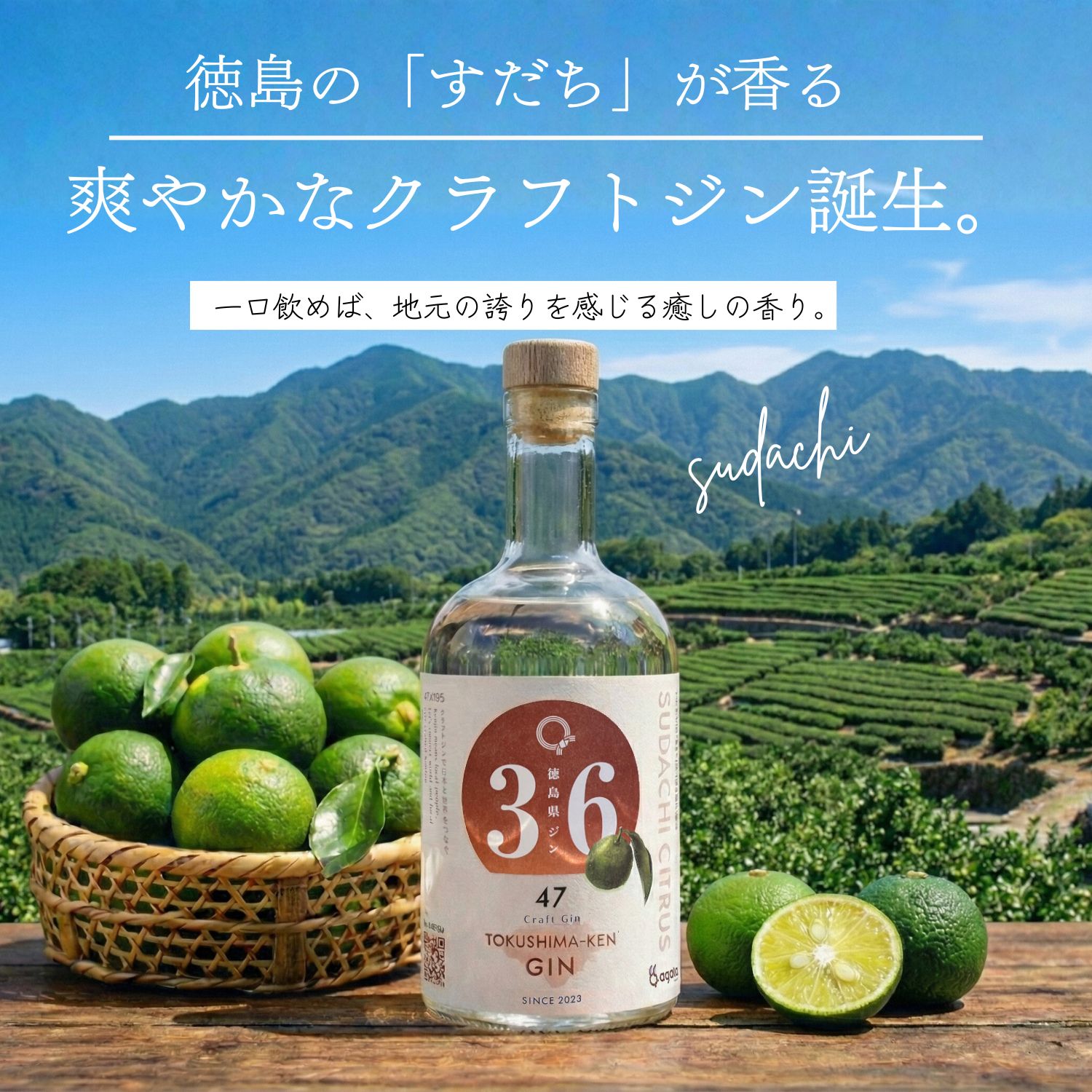楽天市場】徳島県ジン すだち ボタニカル クラフトジン 500ml×1本 ご