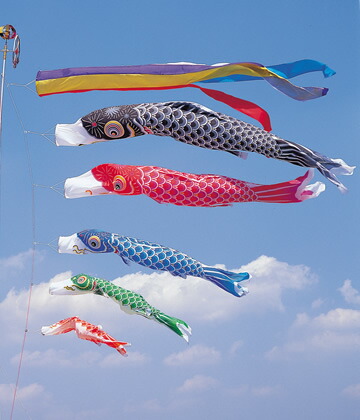 楽天市場】【本格鯉のぼり】天空かなめ鯉3色セット・3m 庭園用大型