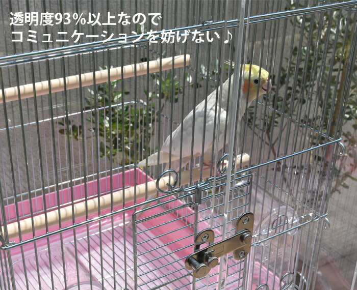 楽天市場】【プレミアム】W545×H595×D545 アクリル バードケージ