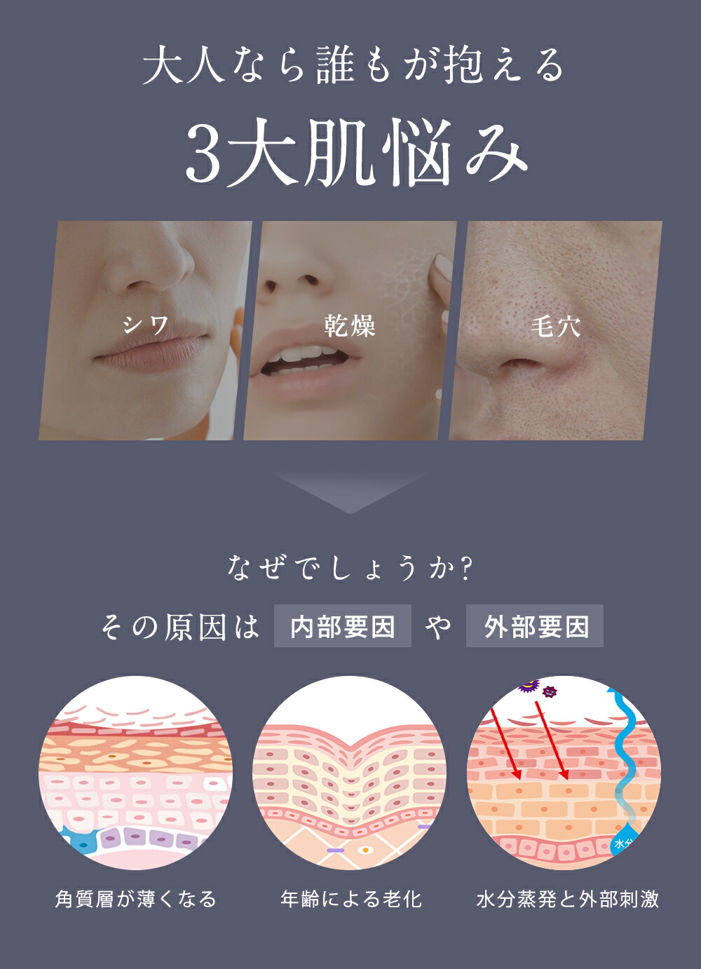 楽天市場】＼待望の新シリーズ誕生！／CICIBELLA Sheet Mask シシベラ