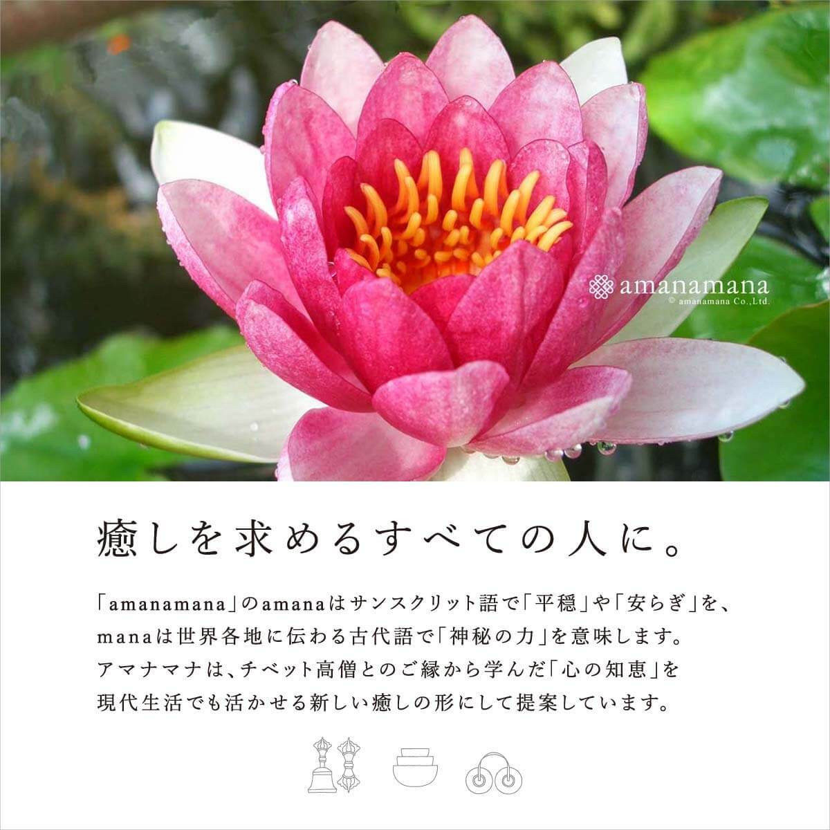 楽天市場】シンギングボウル ヒーリング・マインドフルネス専用