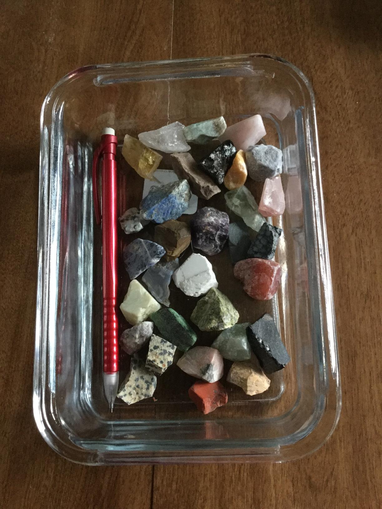 楽天市場】ロック 化石 & ミネラルコレクション & アクティビティ