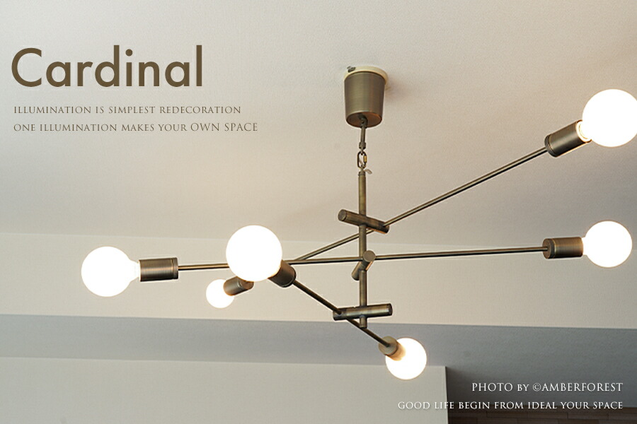 楽天市場】CARDINAL カーディナル - DI CLASSE ディクラッセ